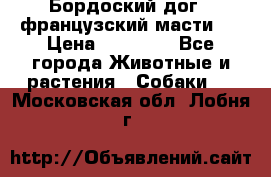 Бордоский дог ( французский масти)  › Цена ­ 50 000 - Все города Животные и растения » Собаки   . Московская обл.,Лобня г.